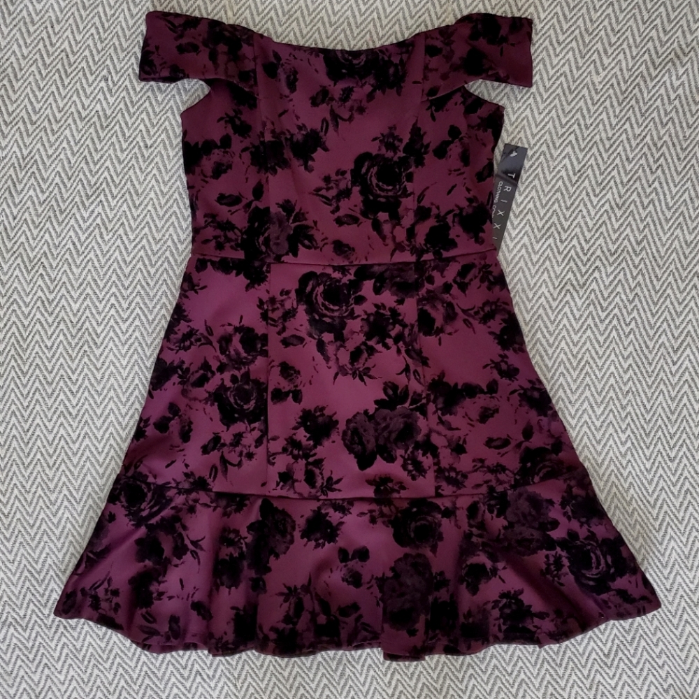 NWT Sz L Purple and Velvet Black Rose Goth Dress